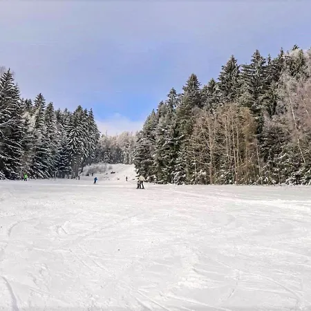 Apartman U Hronova-1 By Interhome *